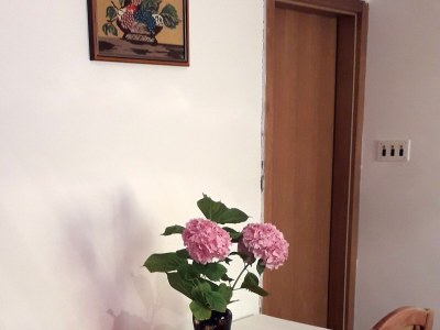 Apartment One bedroom apartment with balcony and sea view Vis A-2436-a - Outdoor photo 11