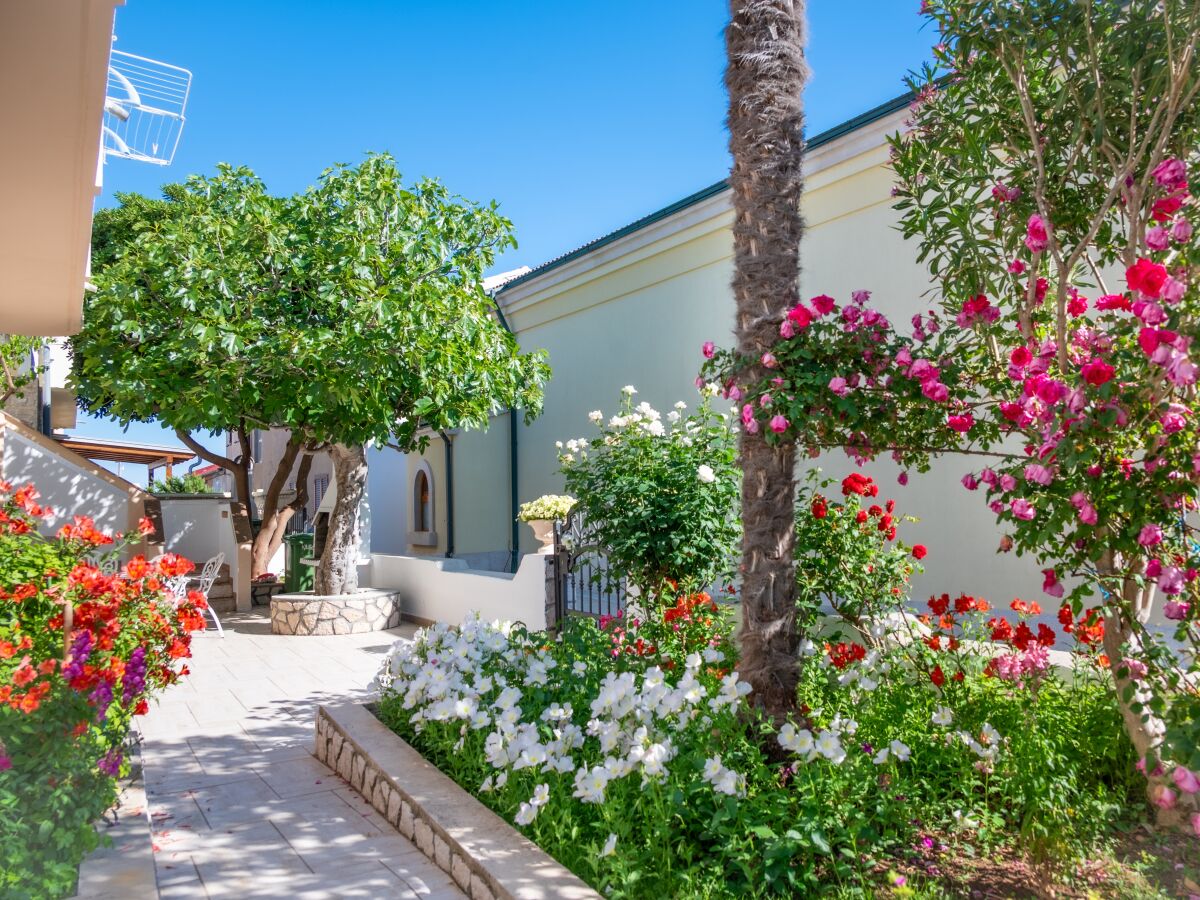 Apartment Two bedroom apartment with terrace and sea view Povljana, Pag A-233-b - Outdoor photo 4