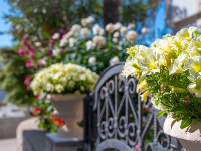 Apartment Two bedroom apartment with terrace and sea view Povljana, Pag A-233-b - Outdoor photo 5