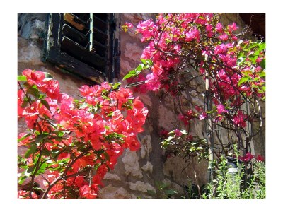 Apartment Studio flat with air-conditioning Novi Vinodolski AS-2382-a - Outdoor photo 7