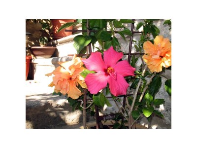 Apartment Studio flat with air-conditioning Novi Vinodolski AS-2382-a - Outdoor photo 9