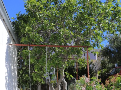 Apartment Two bedroom apartment near beach Cove Oštrička luka, Rogoznica A-4877-b - Outdoor photo 14