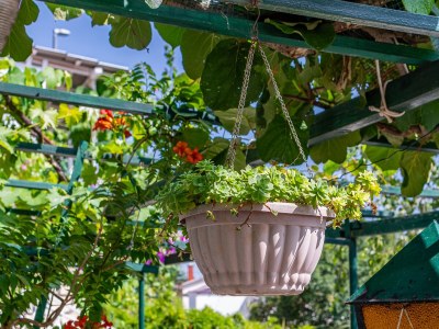 Apartment One bedroom apartment with air-conditioning Novi Vinodolski A-2419-d - Outdoor photo 24