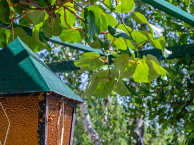 Apartment One bedroom apartment with air-conditioning Novi Vinodolski A-2419-d - Outdoor photo 26