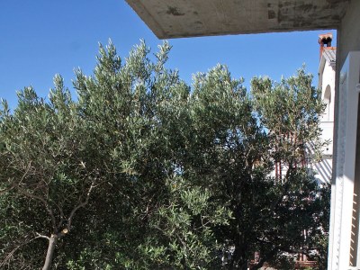 Apartment One bedroom apartment with balcony Banjol, Rab A-4956-a - Outdoor photo 15