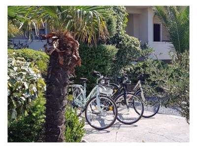 Apartment Three bedroom apartment with terrace and sea view Barbat, Rab A-21809-a - Outdoor photo 2