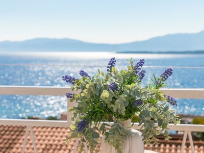 Apartment Two bedroom apartment with balcony and sea view Živogošće - Blato, Makarska A-22253-f - Outdoor photo 27