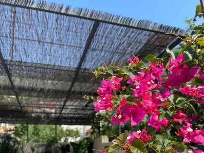 Apartment Two bedroom apartment with terrace Mokošica, Dubrovnik A-22793-a - Outdoor photo 23