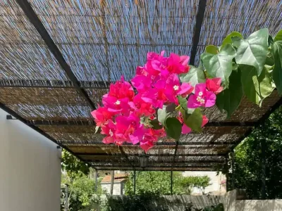 Apartment Two bedroom apartment with terrace Mokošica, Dubrovnik A-22793-a - Outdoor photo 25