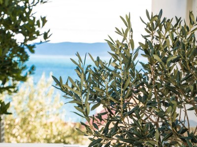 Apartment Four-bedroom apartment near beach Pisak, Omiš A-1067-a - Outdoor photo 72