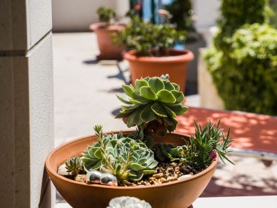 Apartment One bedroom apartment near beach Pisak, Omiš A-1067-b - Outdoor photo 14