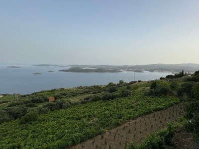 Apartment Two bedroom apartment with terrace and sea view Orebić, Pelješac A-16326-a - Outdoor photo 31