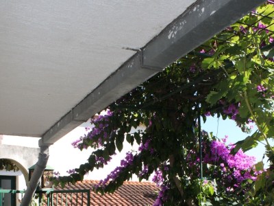 Apartment Two bedroom apartment near beach Podgora, Makarska A-6788-a - Outdoor photo 19