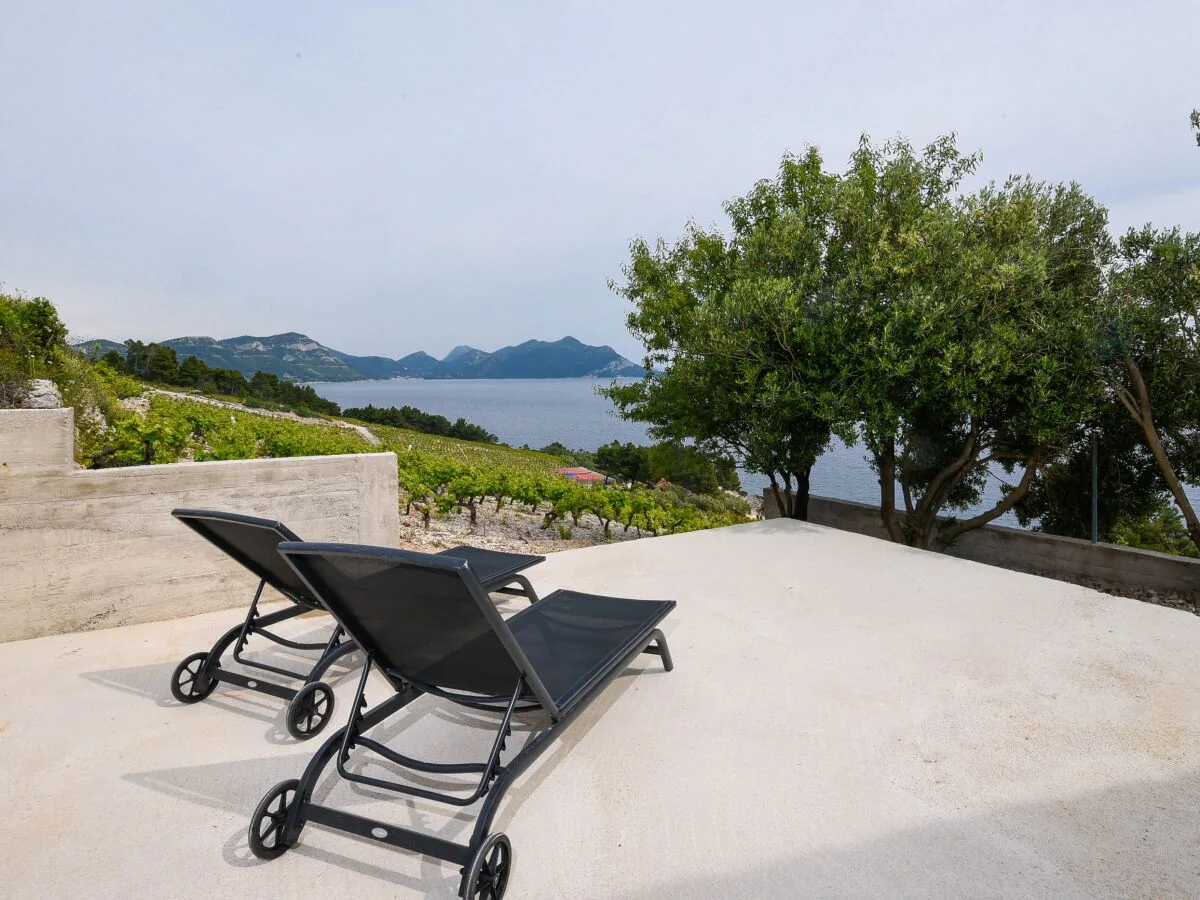 Holiday house One bedroom house with terrace and sea view Dingač - Pristranj, Pelješac K-660