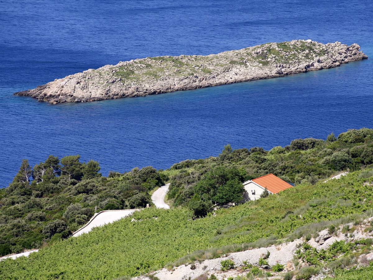 Holiday house One bedroom house with terrace and sea view Dingač - Pristranj, Pelješac K-660 - Outdoor photo 2