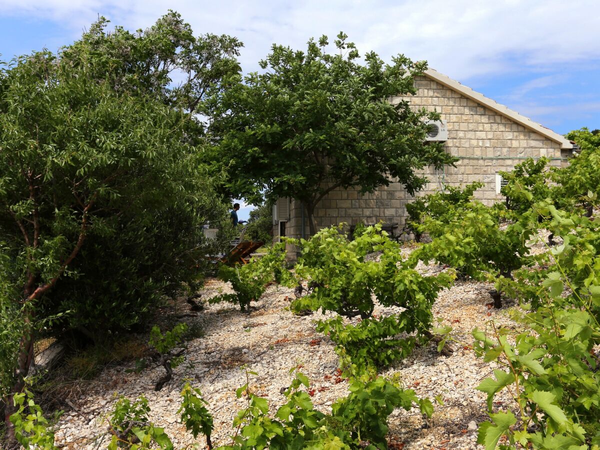 Holiday house One bedroom house with terrace and sea view Dingač - Pristranj, Pelješac K-660 - Outdoor photo 5