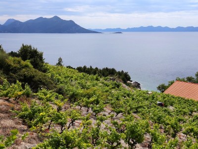 Holiday house One bedroom house with terrace and sea view Dingač - Pristranj, Pelješac K-660 - Outdoor photo 8