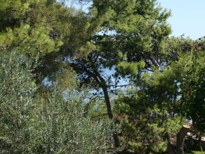 Apartment Two bedroom apartment near beach Slatine, Čiovo A-6888-a - Outdoor photo 26