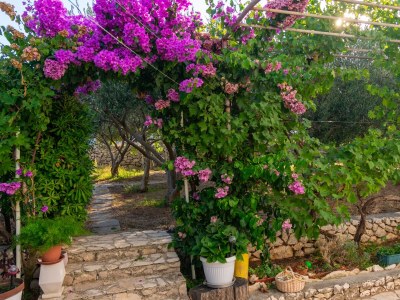 Apartment Two bedroom apartment with balcony and sea view Ražanac, Zadar A-6919-a - Outdoor photo 12