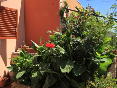 Apartment Two bedroom apartment with terrace Ćunski, Lošinj A-8010-a - Outdoor photo 8