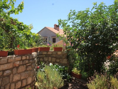 Apartment Two bedroom apartment with terrace Ćunski, Lošinj A-8010-a - Outdoor photo 31