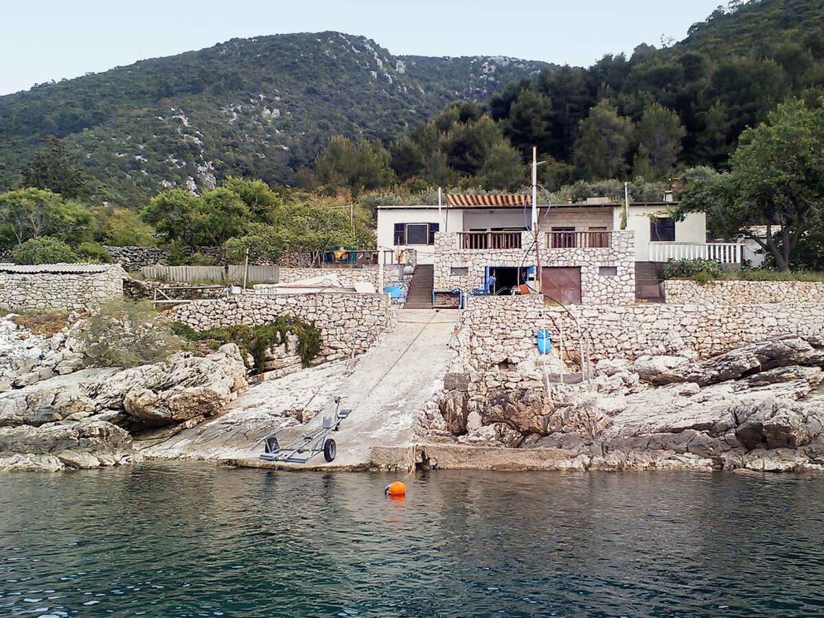 Apartment Three bedroom apartment near beach Cove Virak, Hvar A-6969-a