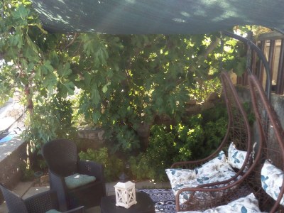 Apartment Three bedroom apartment near beach Cove Virak, Hvar A-6969-a - Outdoor photo 4