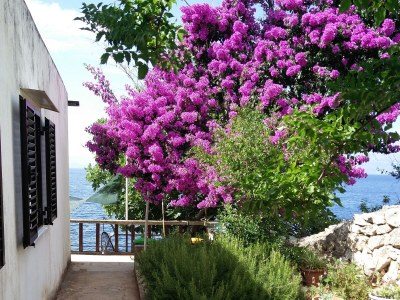 Apartment Three bedroom apartment near beach Cove Virak, Hvar A-6969-a - Outdoor photo 7