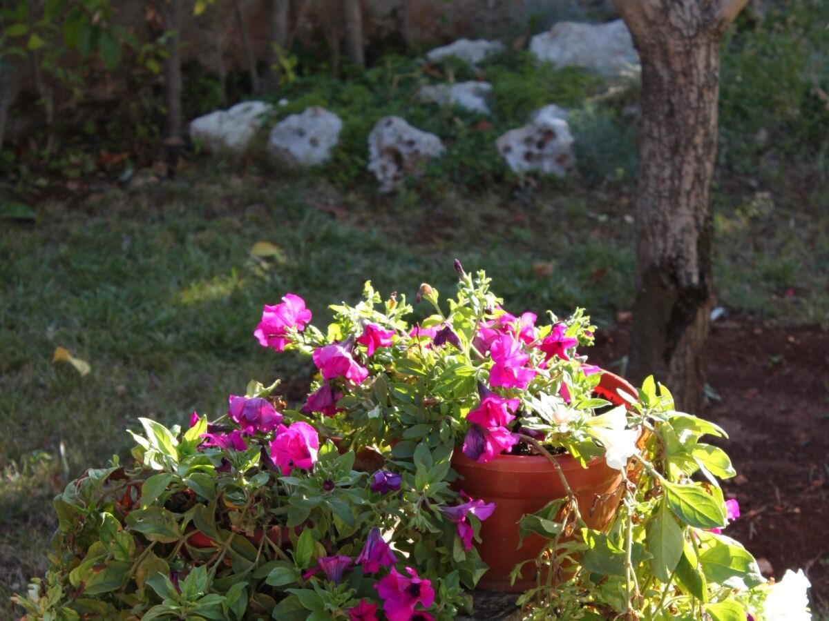 Apartment Apartments with parking space Umag - 7057 - Outdoor photo 5