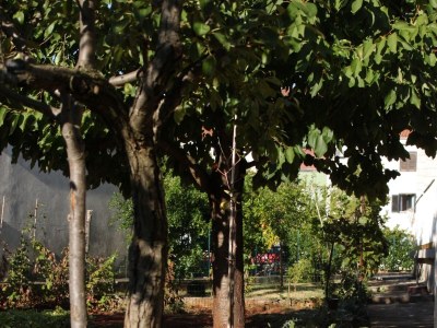 Apartment Apartments with parking space Umag - 7057 - Outdoor photo 6