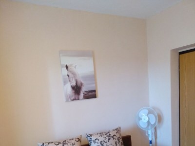 Apartment Apartments with parking space Umag - 7057 - Outdoor photo 13