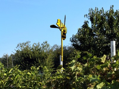 Apartment Two bedroom apartment with terrace Umag A-7109-a - Outdoor photo 11