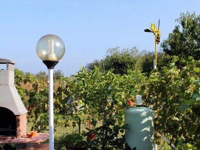 Apartment Two bedroom apartment with terrace Umag A-7109-a - Outdoor photo 29