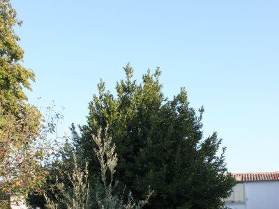 Apartment One bedroom apartment with air-conditioning Gračišće, Central Istria - Središnja Istra A-7134-a - Outdoor photo 9