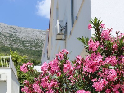 Apartment Two bedroom apartment near beach Kučište - Perna, Pelješac A-4545-d - Outdoor photo 9