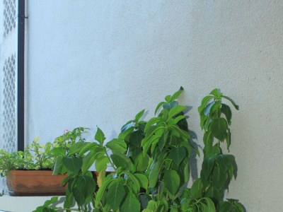 Apartment Two bedroom apartment with terrace and sea view Rabac, Labin A-7465-a - Outdoor photo 8