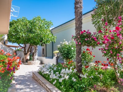 Apartment Studio flat with terrace Povljana, Pag AS-233-a - Outdoor photo 4