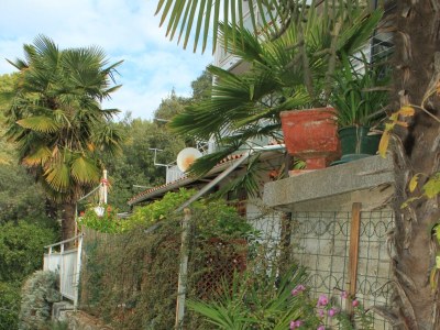 Apartment One bedroom apartment with terrace Rabac, Labin A-7472-a - Outdoor photo 4