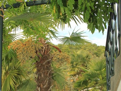 Apartment One bedroom apartment with terrace Rabac, Labin A-7472-a - Outdoor photo 6