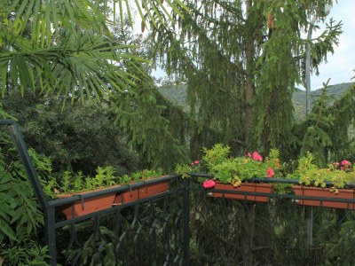 Apartment One bedroom apartment with terrace Rabac, Labin A-7472-a - Outdoor photo 7