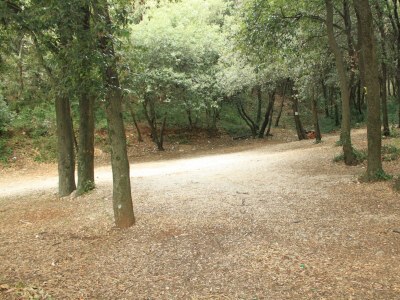 Apartment One bedroom apartment with terrace Rabac, Labin A-7472-a - Outdoor photo 8