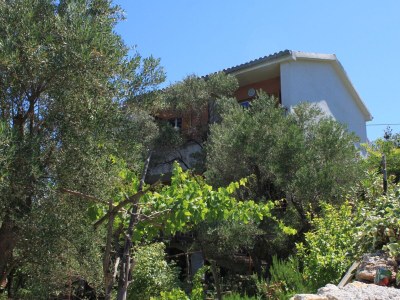 Apartment One bedroom apartment with balcony and sea view Valun, Cres A-386-b - Outdoor photo 6