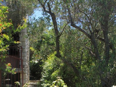 Apartment One bedroom apartment with balcony and sea view Valun, Cres A-386-b - Outdoor photo 10