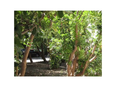 Holiday house Three bedroom house with terrace and sea view Kaštel Novi, Kaštela K-7554 - Outdoor photo 5