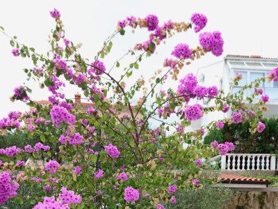 Apartment Studio flat with terrace and sea view Kornić, Krk AS-415-b - Outdoor photo 7