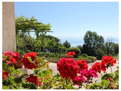 Apartment Two bedroom apartment with terrace and sea view Oprič, Opatija A-7753-a - Outdoor photo 25