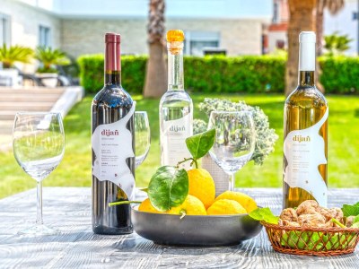 Apartment One bedroom apartment with balcony and sea view Sukošan, Zadar A-24518-c - Outdoor photo 8