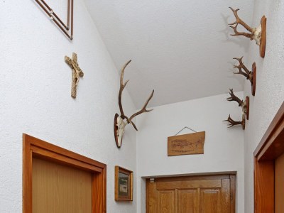 Holiday house Two bedroom house with terrace Dolenja Vas, Central Istria - Središnja Istra K-24528 - Outdoor photo 28