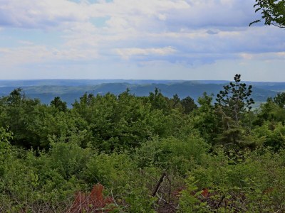 Holiday house Two bedroom house with terrace Dolenja Vas, Central Istria - Središnja Istra K-24528 - Outdoor photo 31