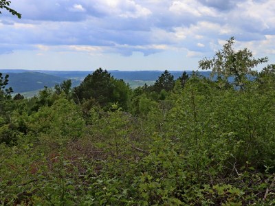 Holiday house Two bedroom house with terrace Dolenja Vas, Central Istria - Središnja Istra K-24528 - Outdoor photo 32